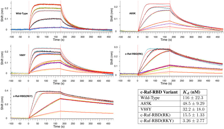 Fig 10