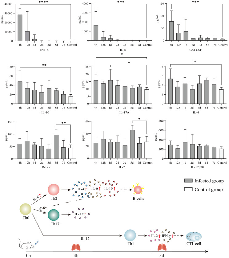 Figure 4