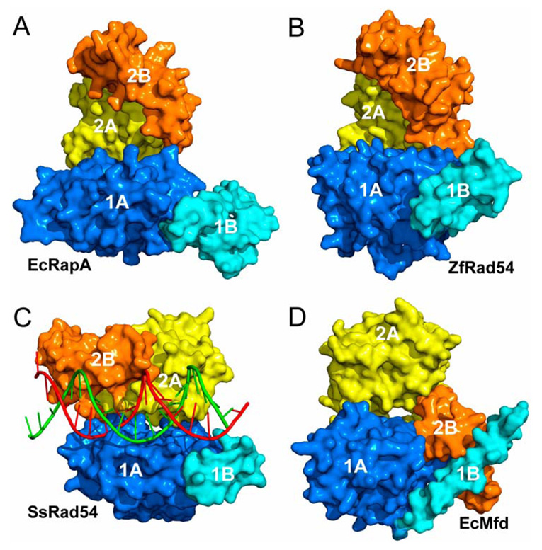 Figure 4