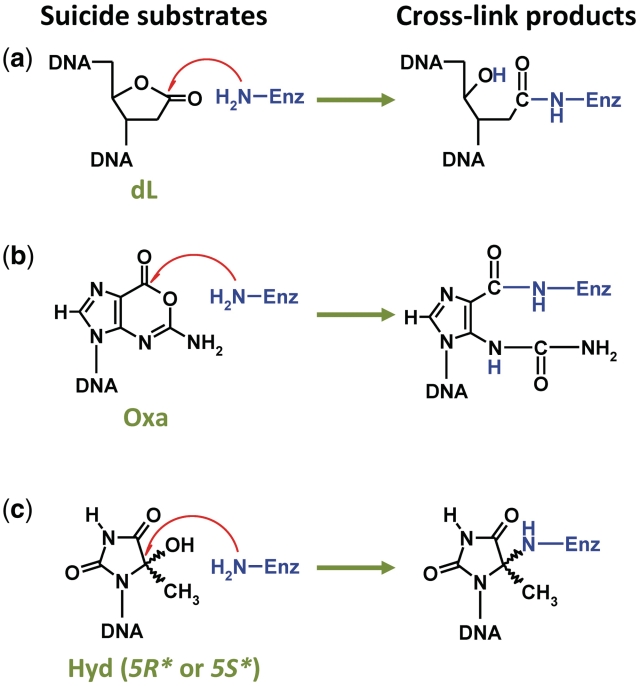 Figure 9.