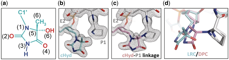 Figure 5.