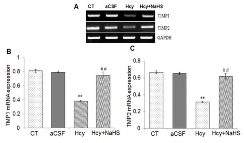 Fig. 11