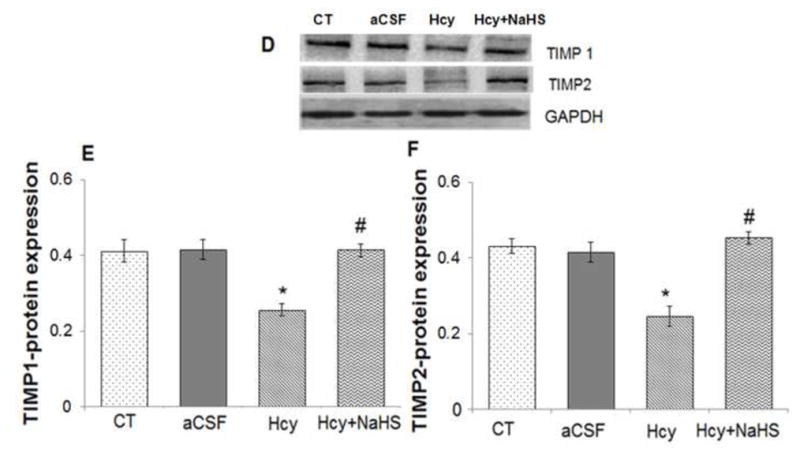 Fig. 11