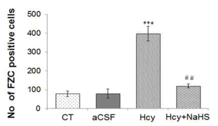 Fig. 9