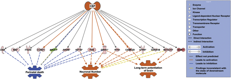 Figure 5.