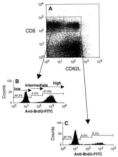 FIG. 1