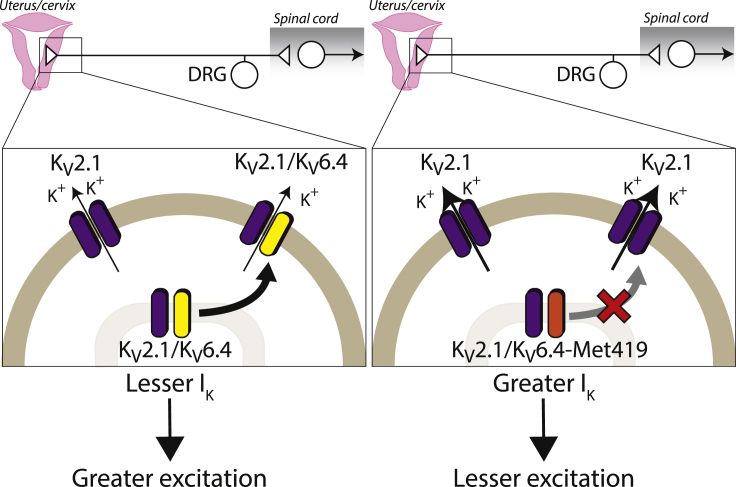 Figure 6