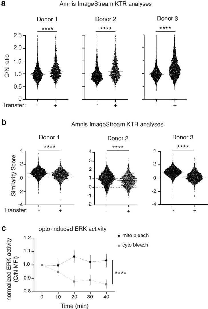 Figure 3—figure supplement 3.