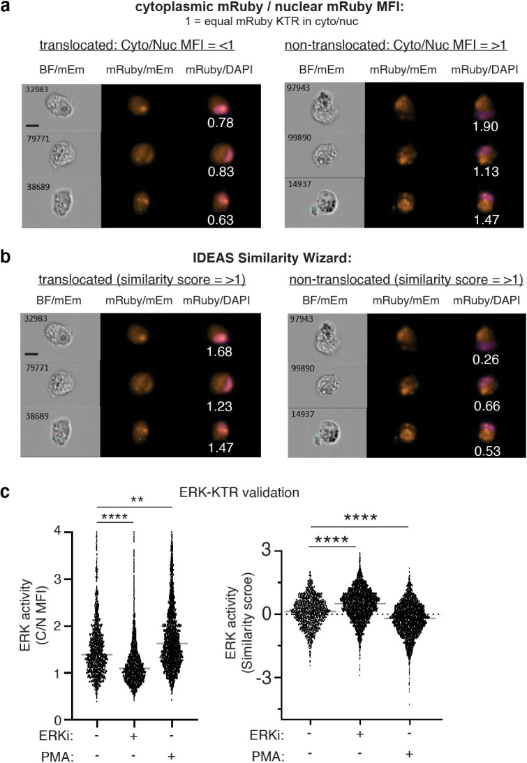 Figure 3—figure supplement 2.