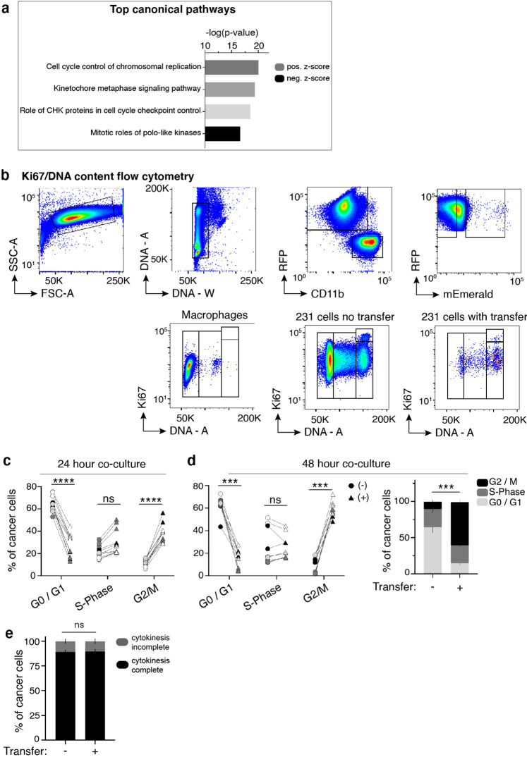 Figure 1—figure supplement 2.