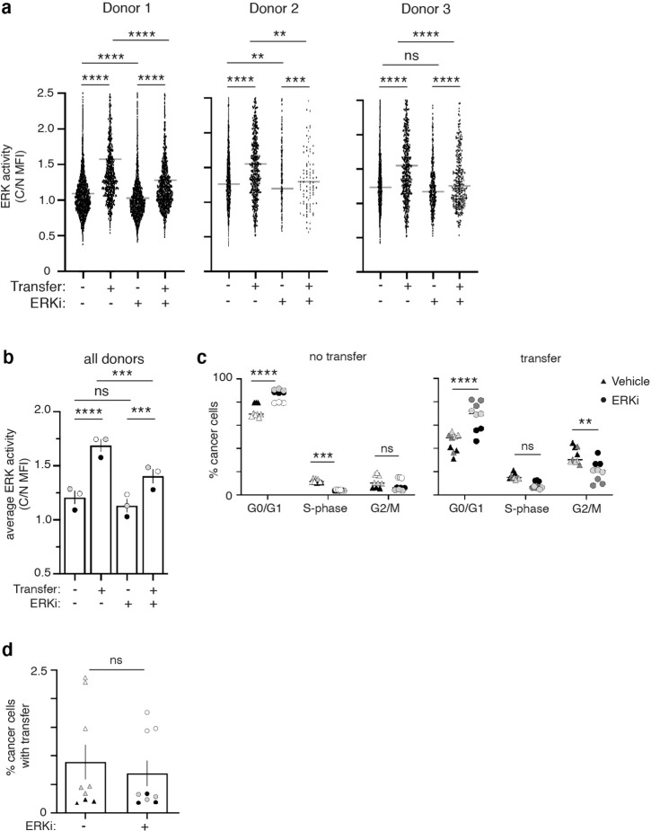 Figure 3—figure supplement 4.