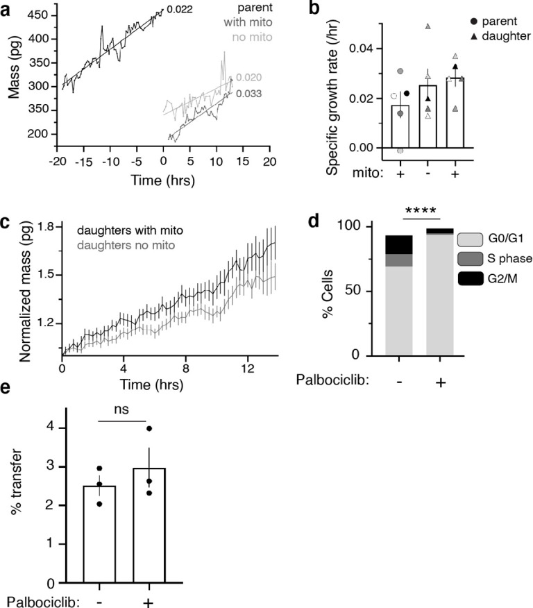 Figure 1—figure supplement 3.