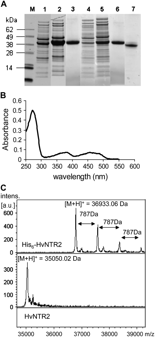 Figure 4.