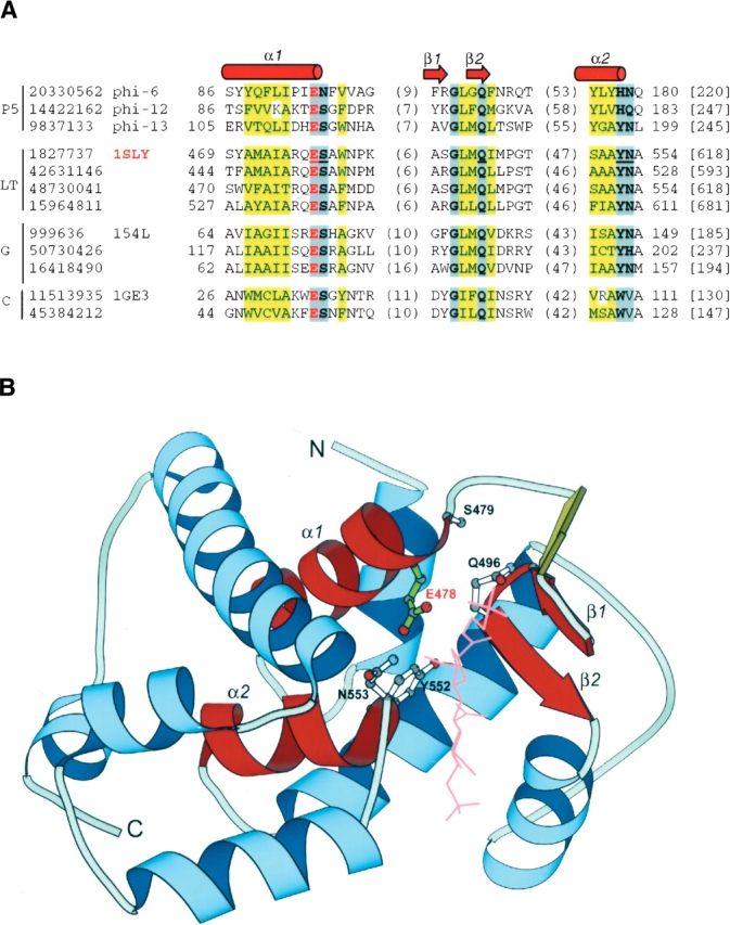 Figure 2.