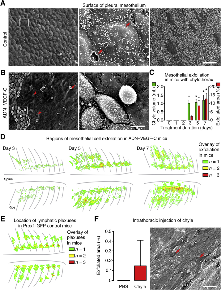 Figure 6