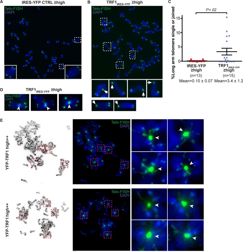 FIGURE 3: