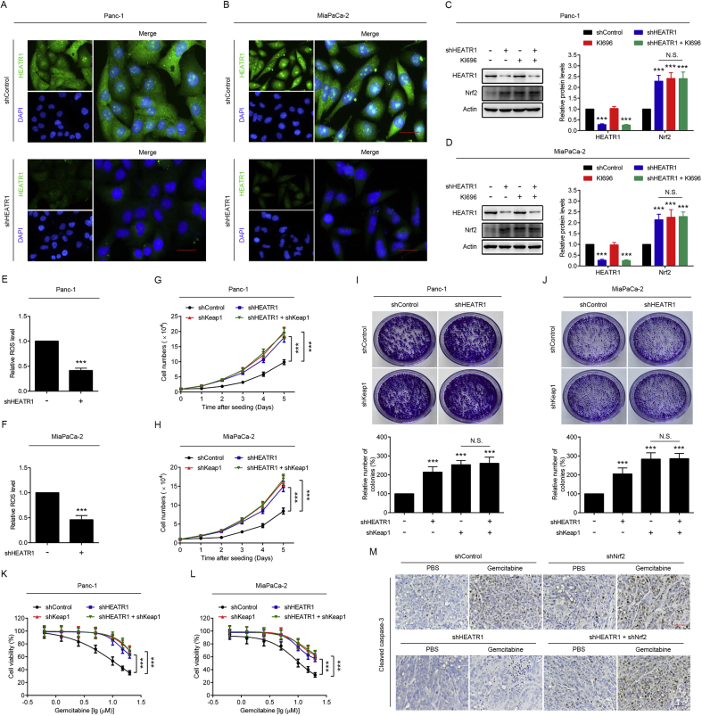 Supplementary Fig. S1