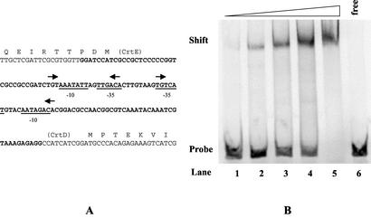 FIG. 5.