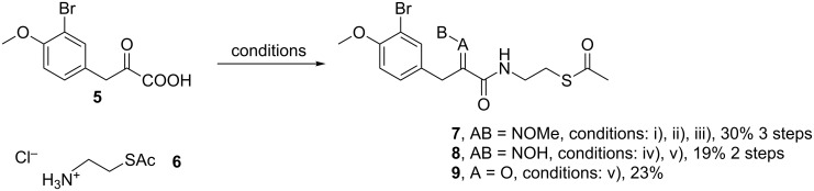 Scheme 2