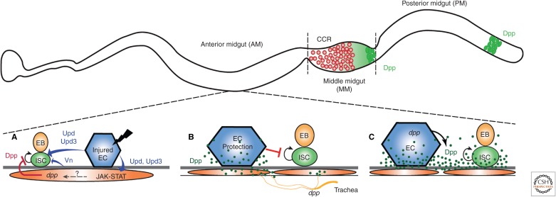 Figure 6.