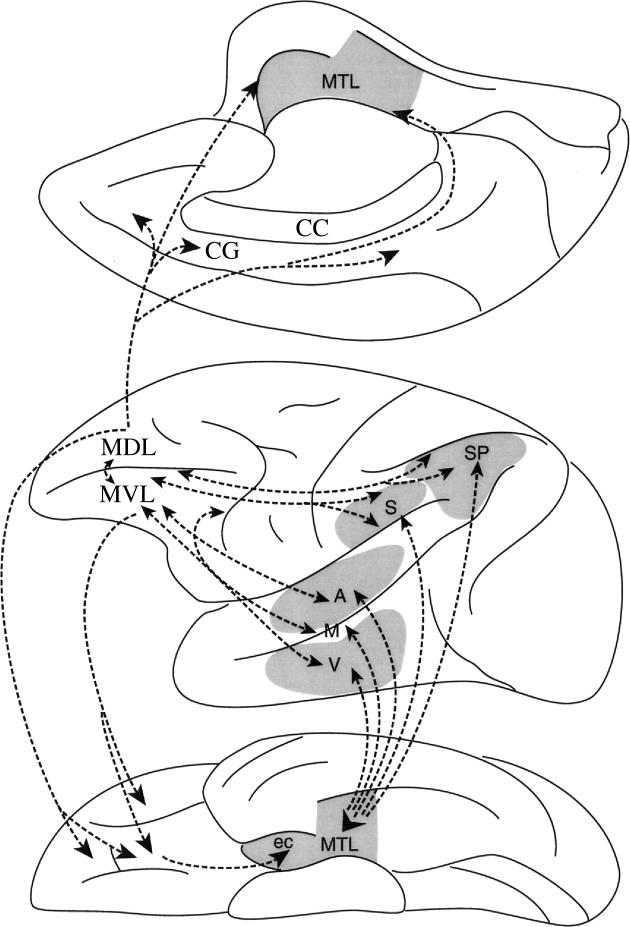 Figure 8