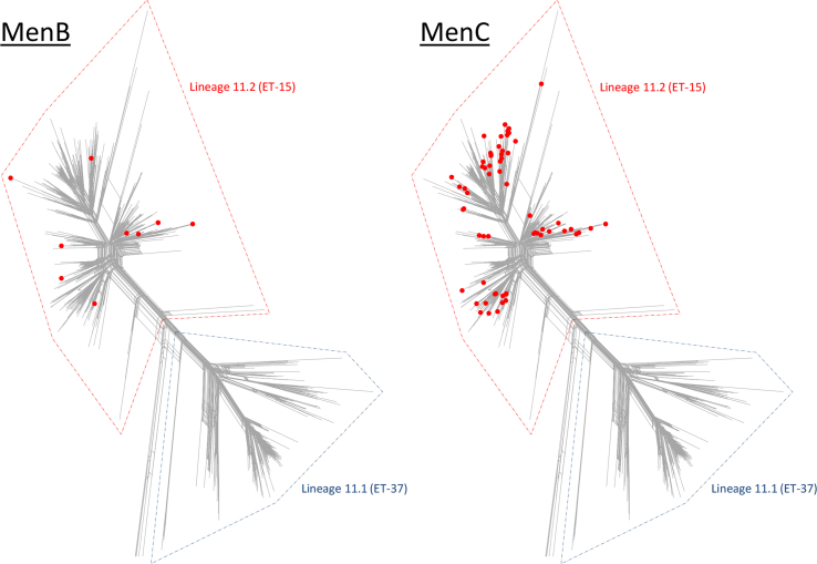 Figure 3