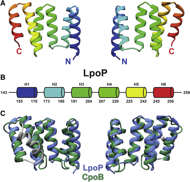 Figure 2