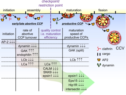 Figure 6.