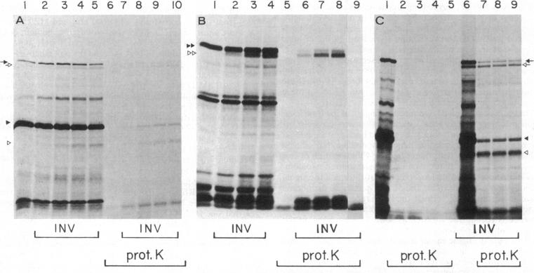 graphic file with name pnas00624-0161-a.jpg