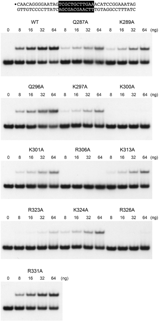 Figure 6.