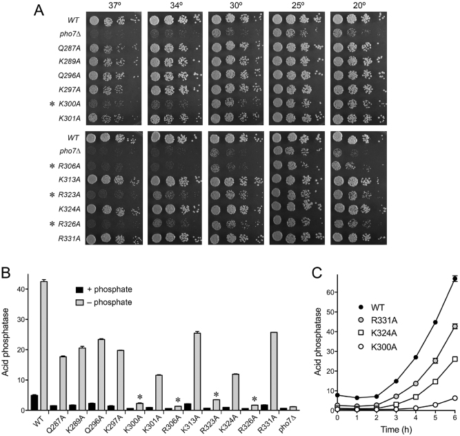 Figure 5.