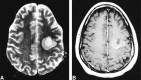 <sc>fig</sc> 1.