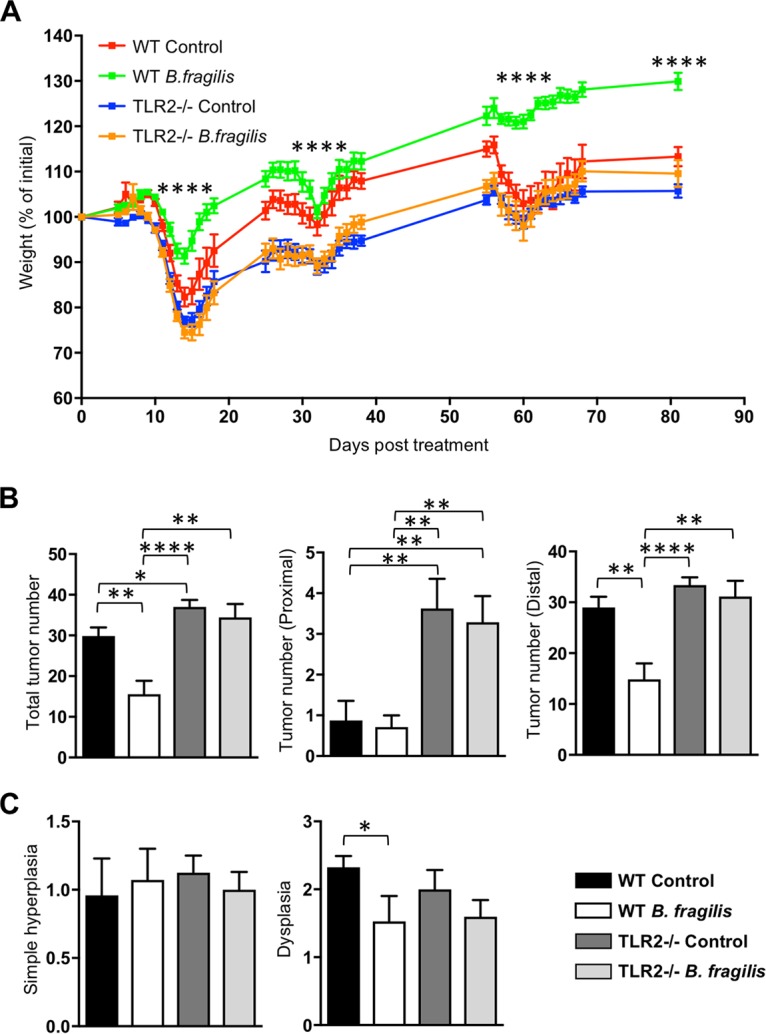 FIG 4