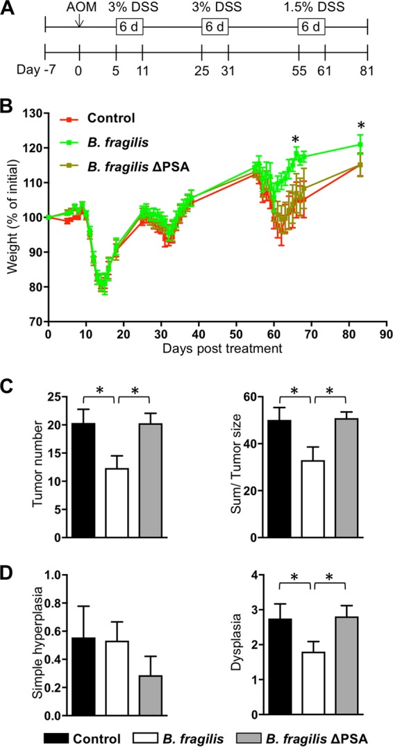 FIG 2