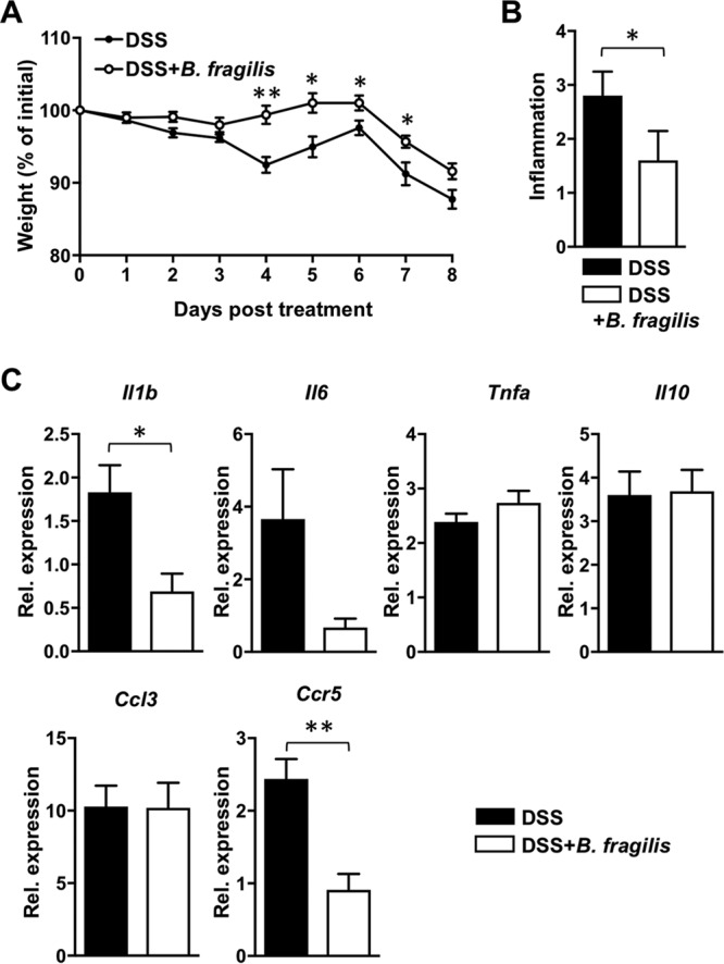 FIG 1