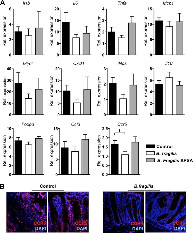 FIG 3