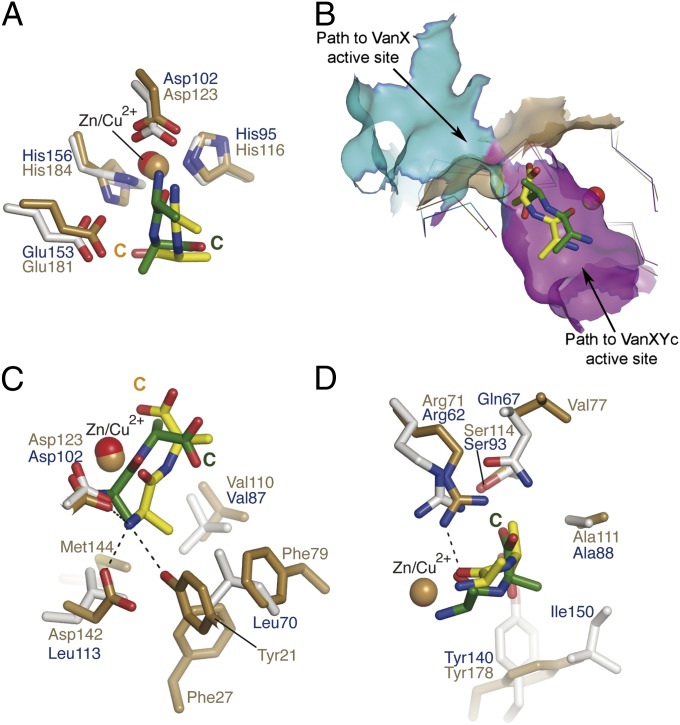 Fig. 4.