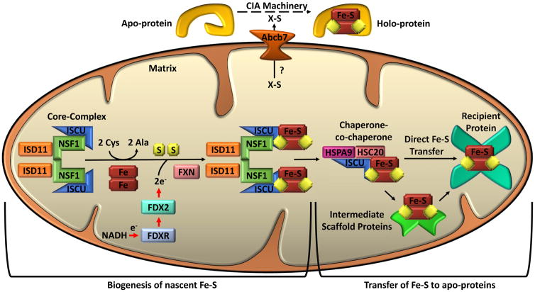 Figure 4