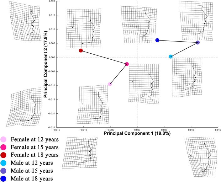 Fig 4