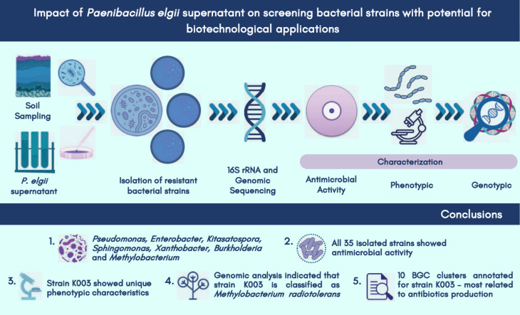 Image, graphical abstract