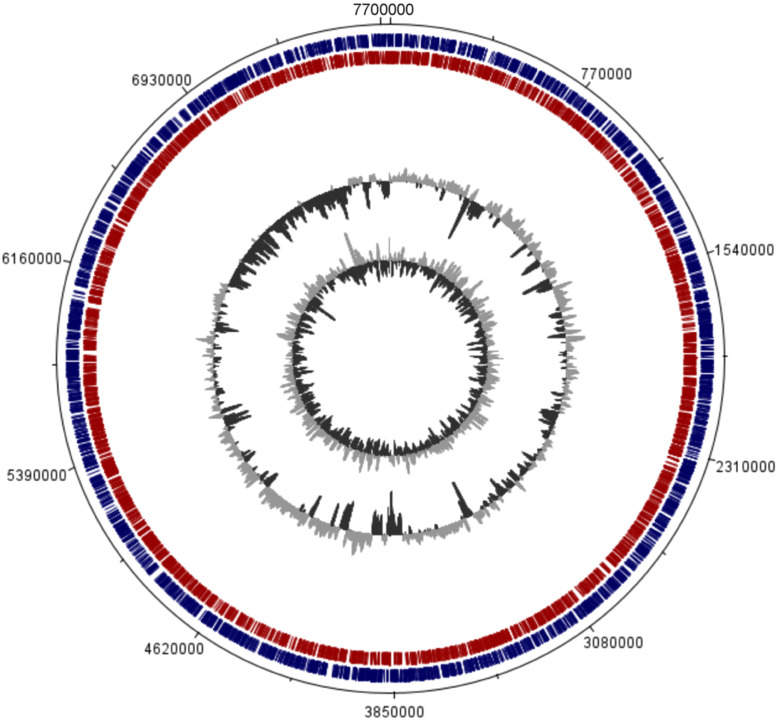 Fig 2