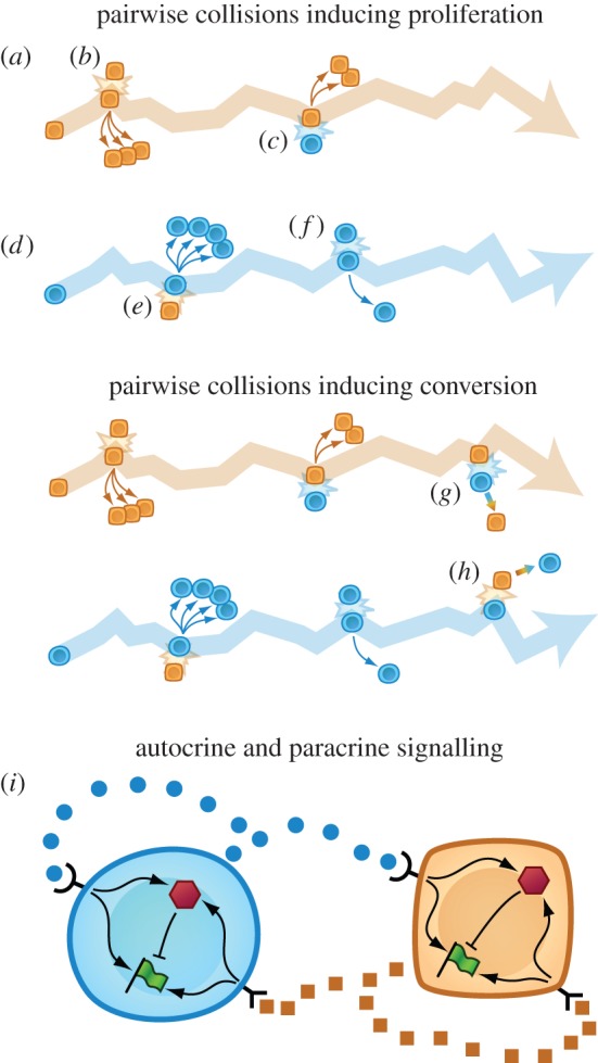 Figure 2.