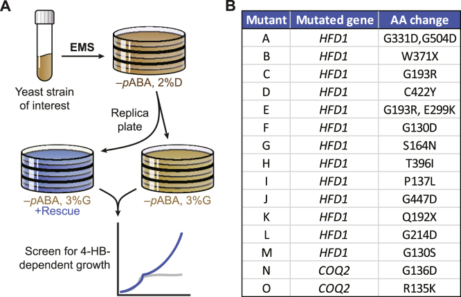 Figure 2