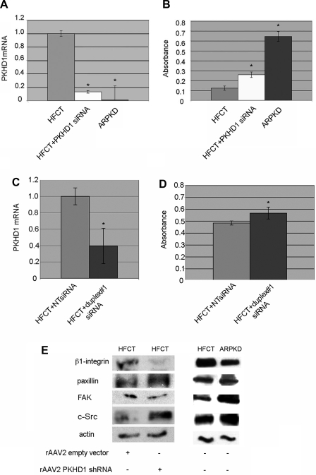 Fig. 11.