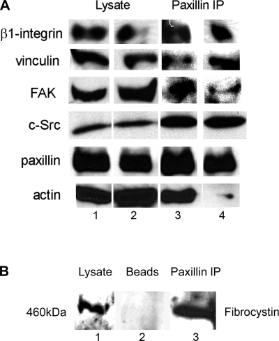 Fig. 10.