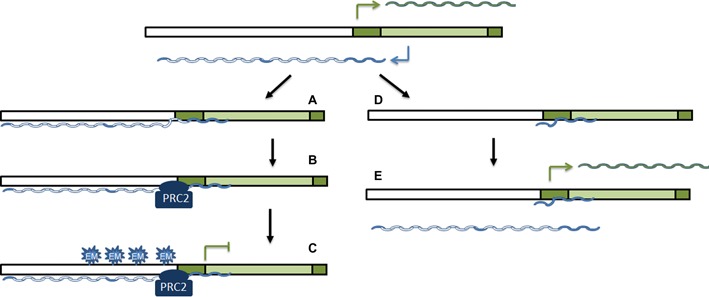 Figure 7.