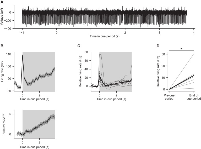 Figure 2—figure supplement 2.