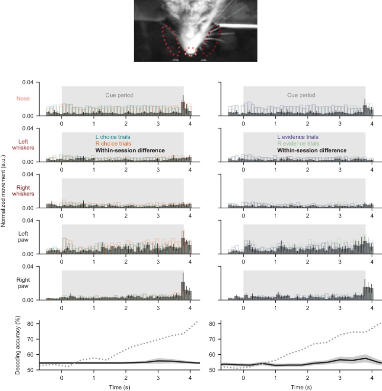 Figure 2—figure supplement 4.