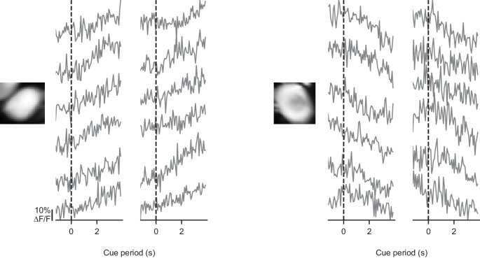 Figure 2—figure supplement 1.