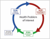 Fig. 1 The Learning Cycle